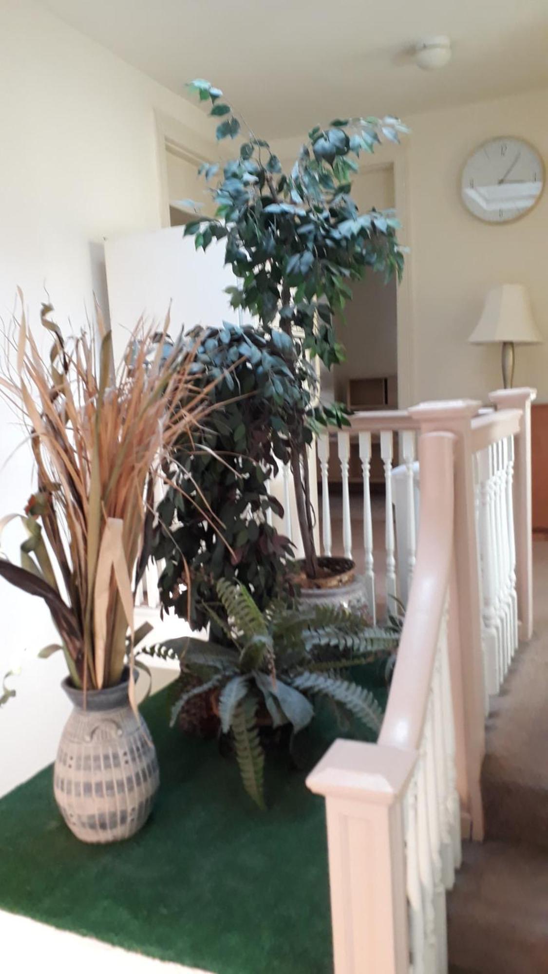 Pleasant Rooming House Washington Esterno foto